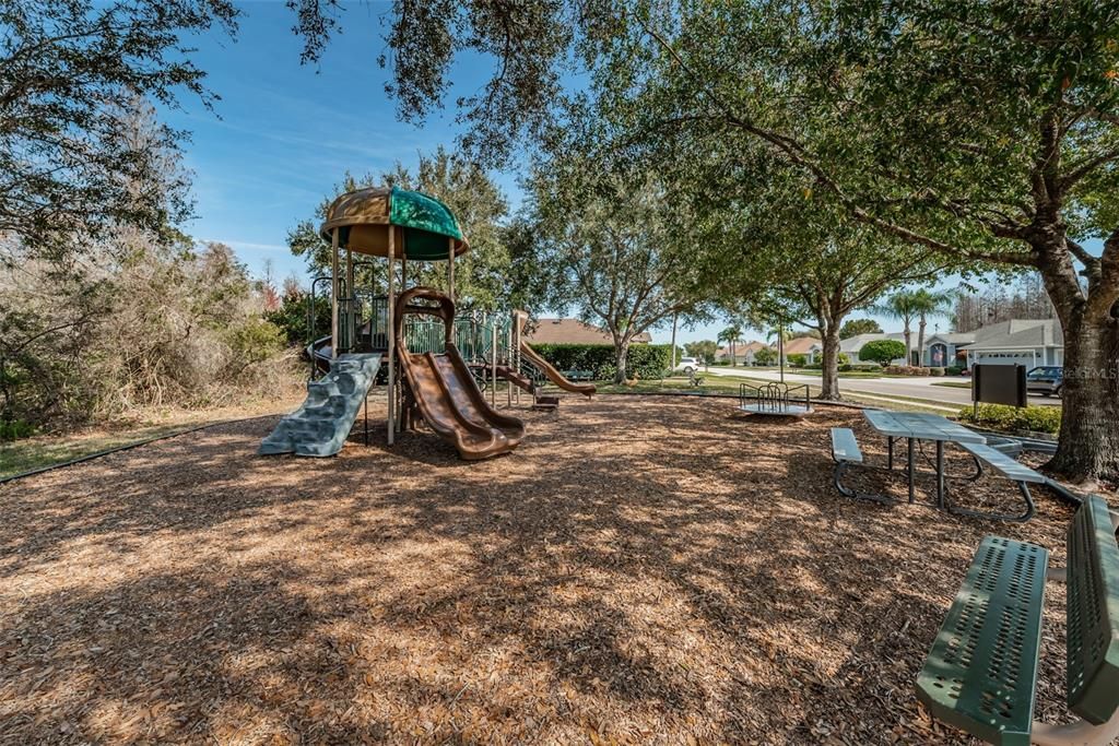 Trinity Oaks playground