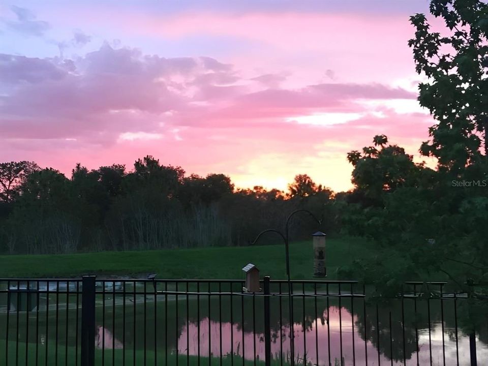 Another backyard sunset