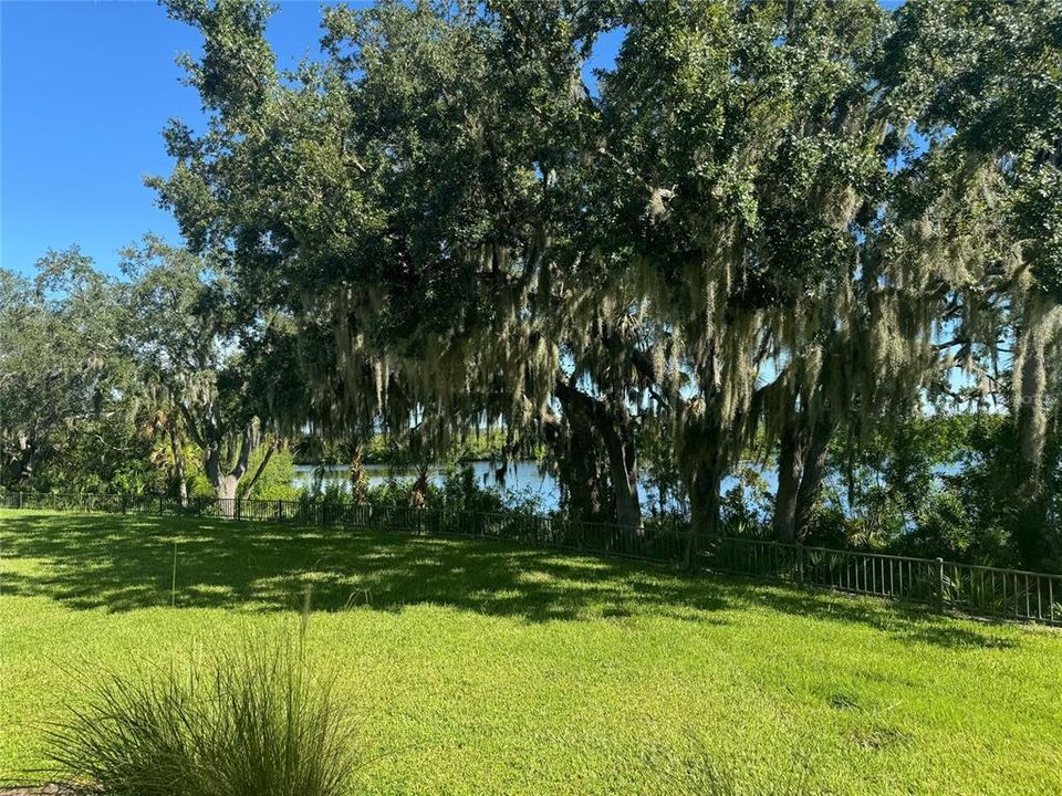 Watch the Manatee River stroll by every day