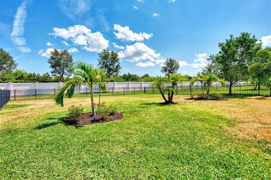 Large, FENCED in back yard!