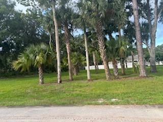 Activo con contrato: $75,000 (0.33 acres)