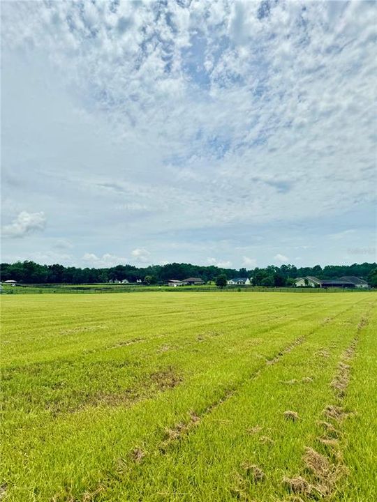 待售: $259,900 (4.95 acres)