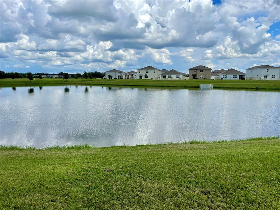 View of Pond from backyard