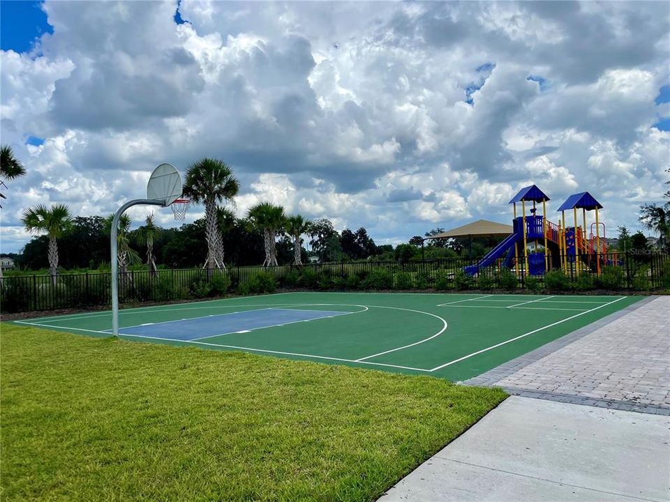 Basketball Court