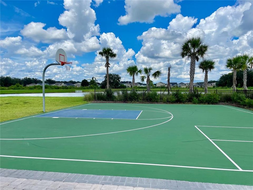 Basketball Court