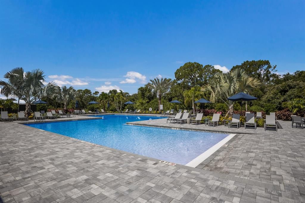 Oasis Zero Entry Resort Style Pool Surrounded by Conservation