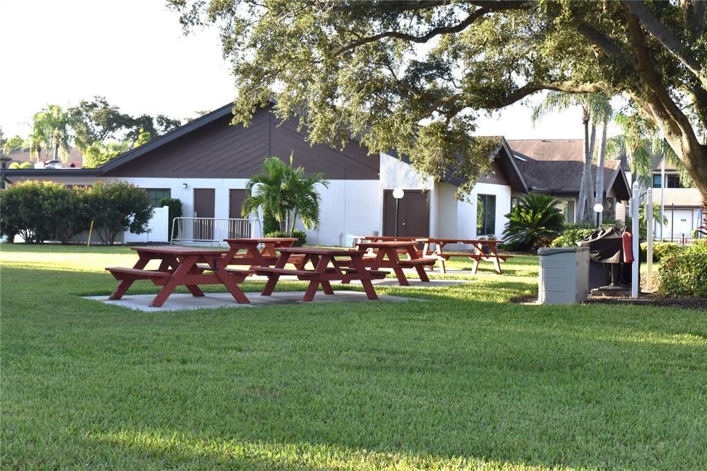 Picnic Area by club house