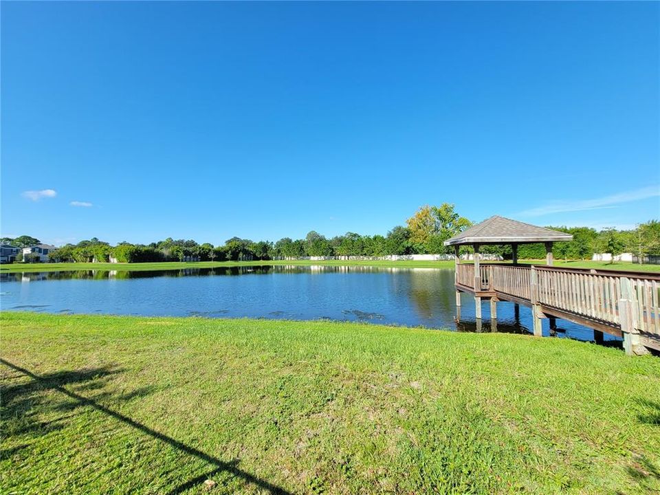 POND VIEW