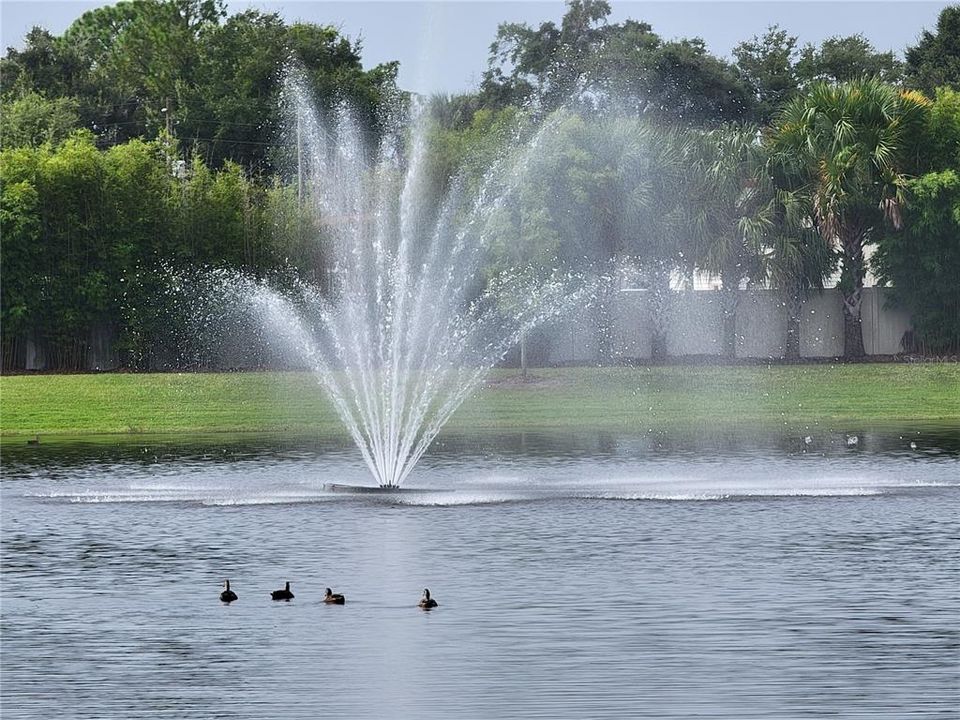 FOUNTAIN