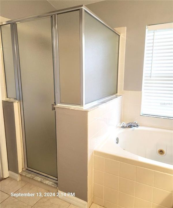 Walk in Shower and Garden Tub