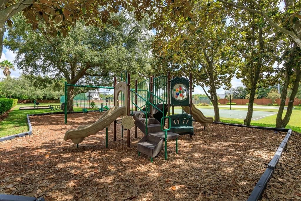 community playground