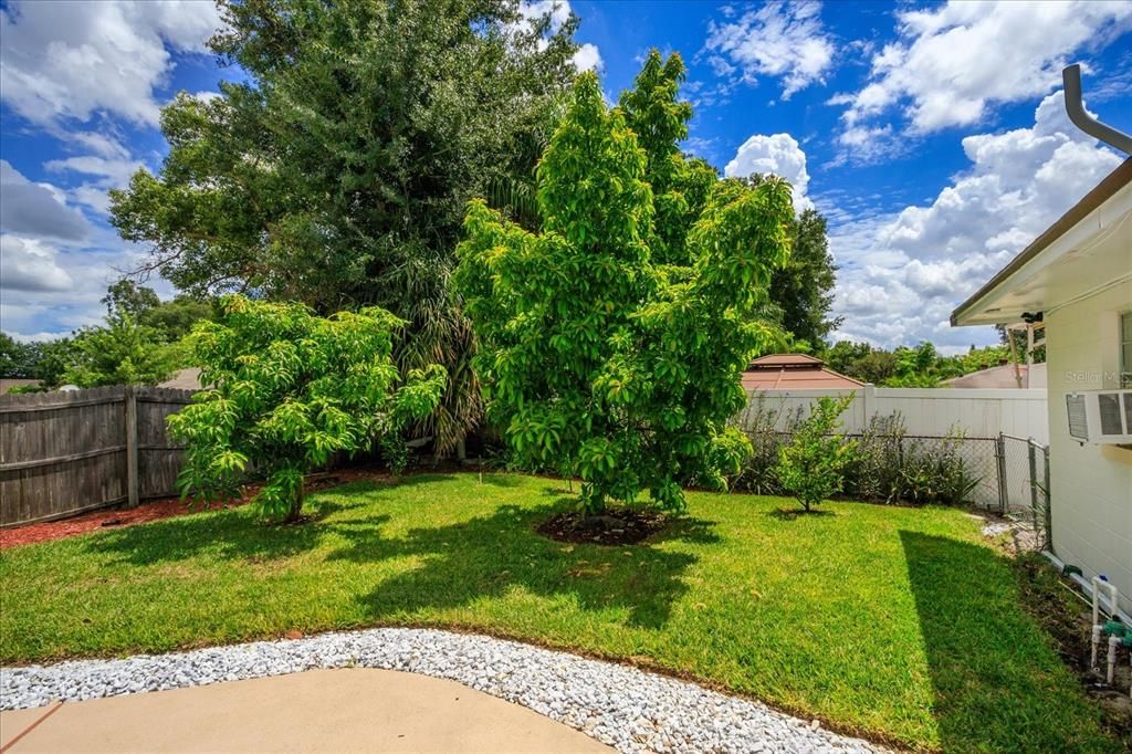 Exceptional landscaping front and back