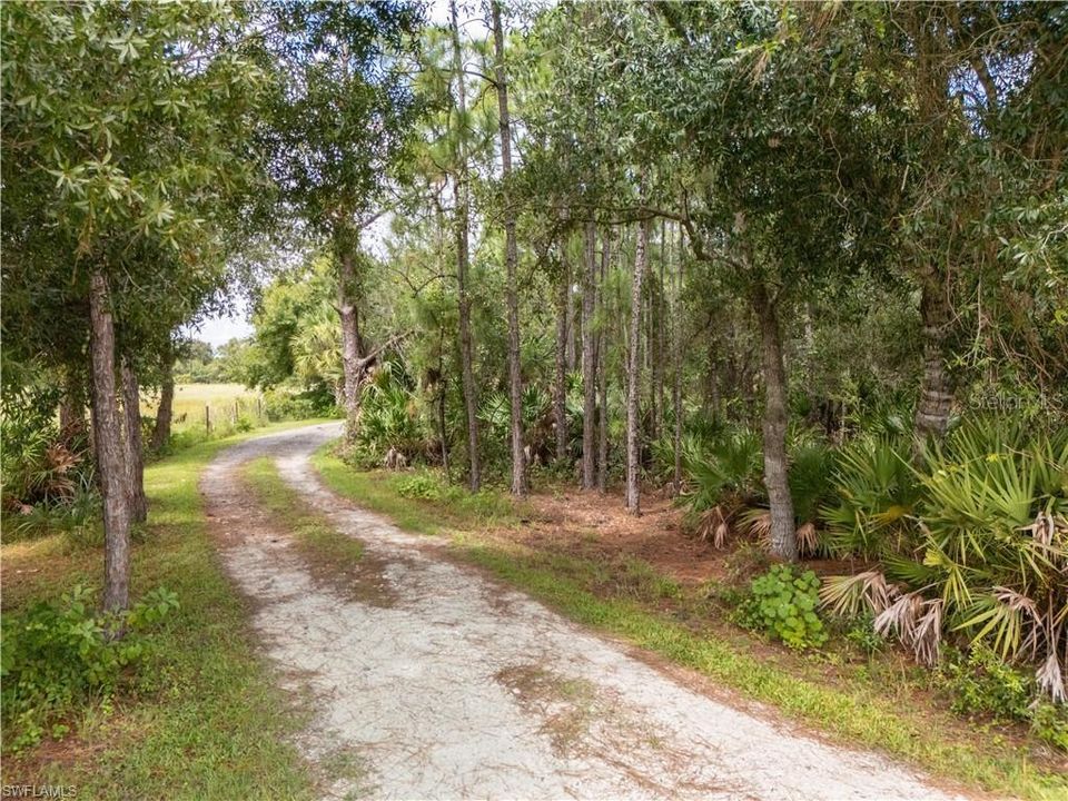 4389 Kirby Thompson Road, Muse, FL 33935 20 acres 2/2