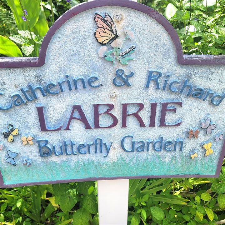 Butterfly Garden Across Street