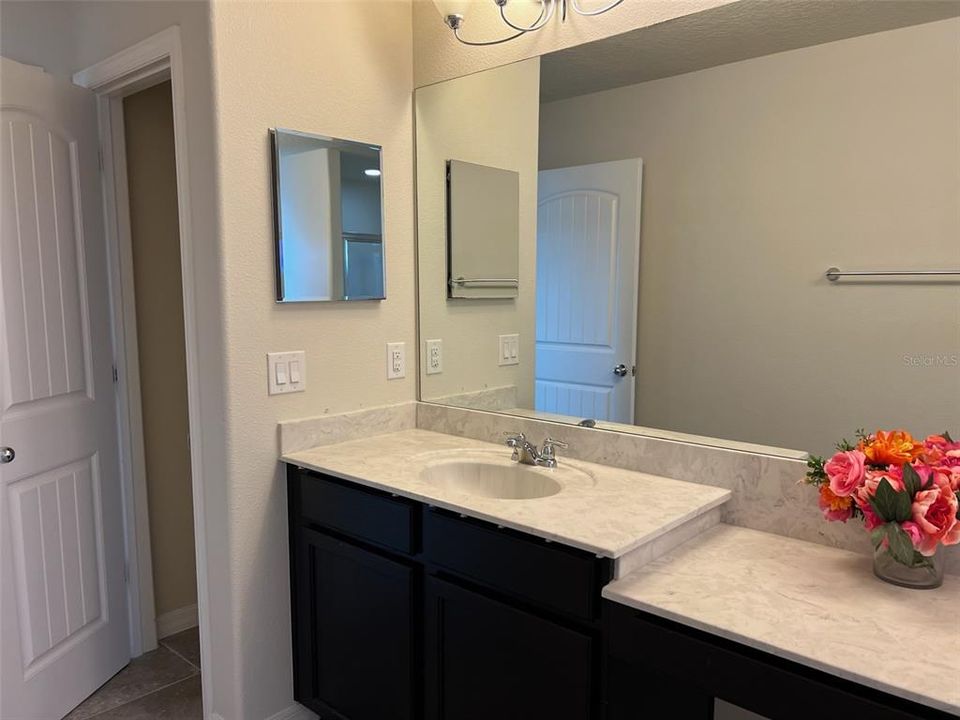 Primary Bathroom Left Vanity and Left Closet