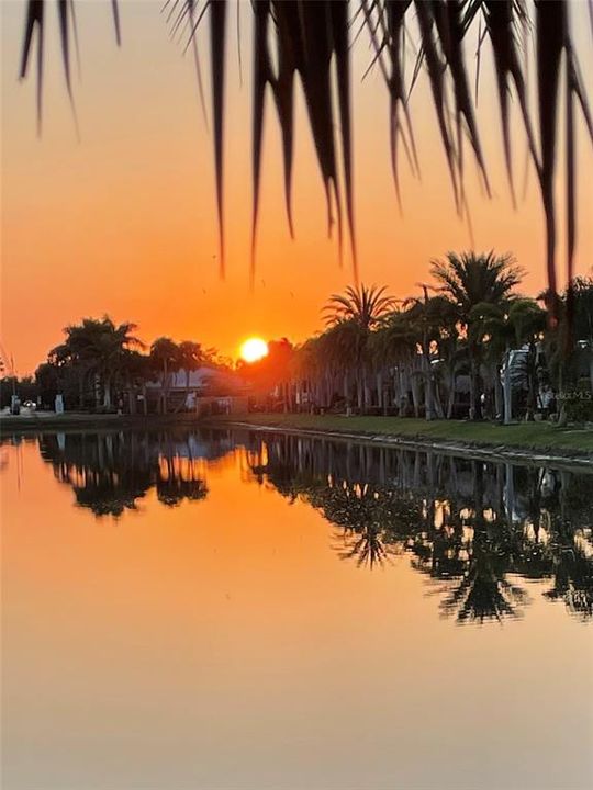 待售: $249,999 (0.08 acres)