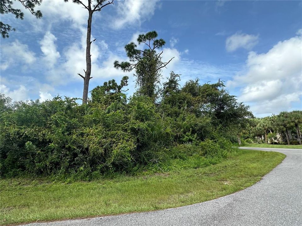 Active With Contract: $29,000 (0.30 acres)