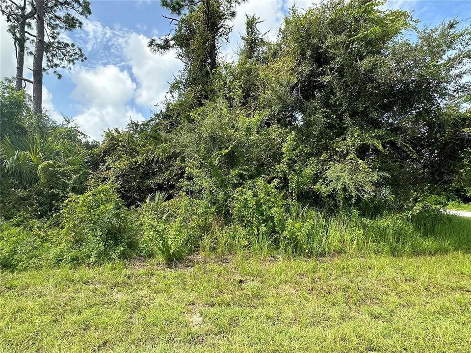 Active With Contract: $29,000 (0.30 acres)