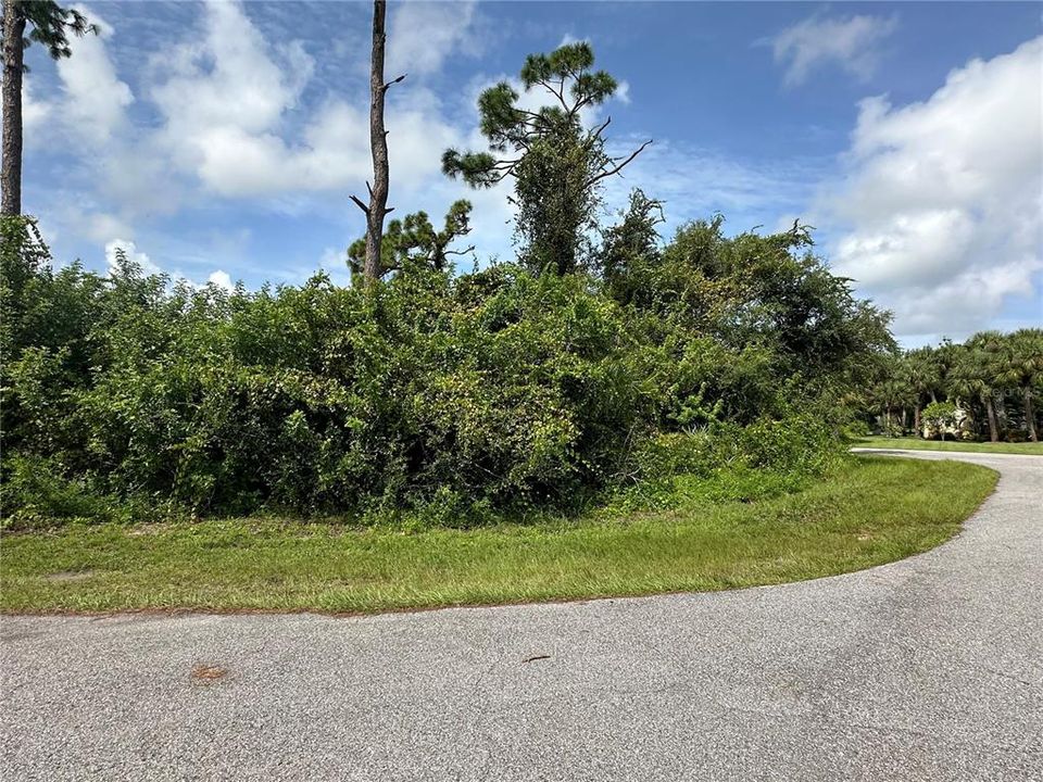 Active With Contract: $29,000 (0.30 acres)