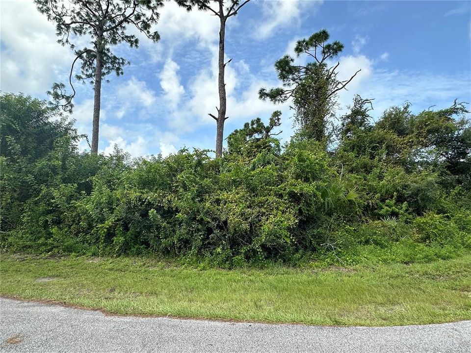 Active With Contract: $29,000 (0.30 acres)