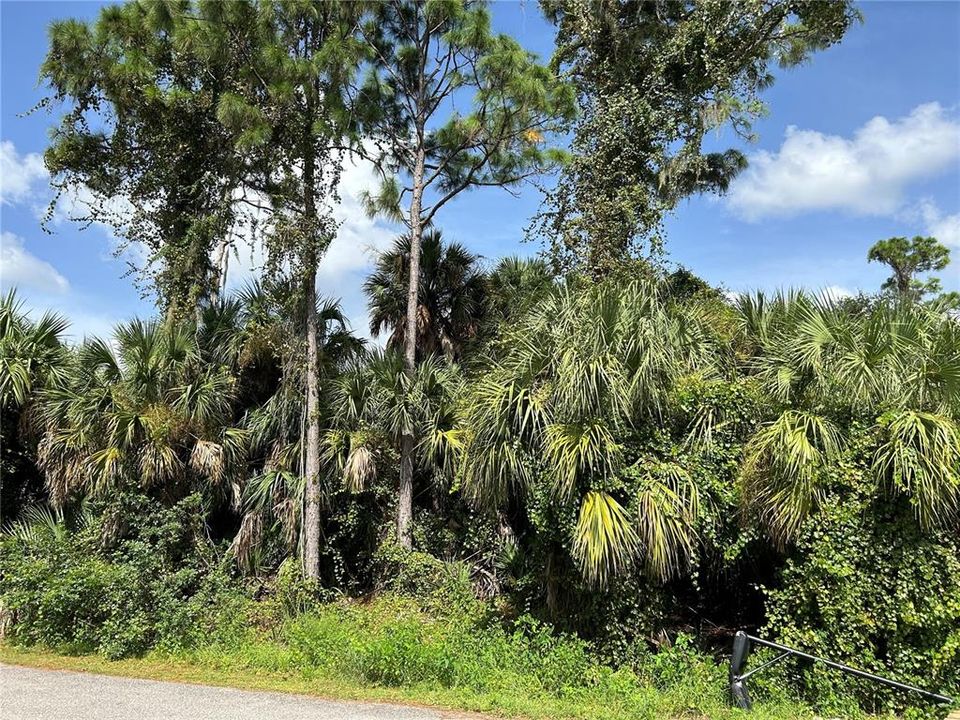 En Venta: $21,234 (0.23 acres)