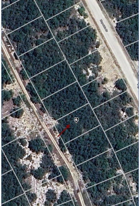 Recently Sold: $6,900 (0.22 acres)