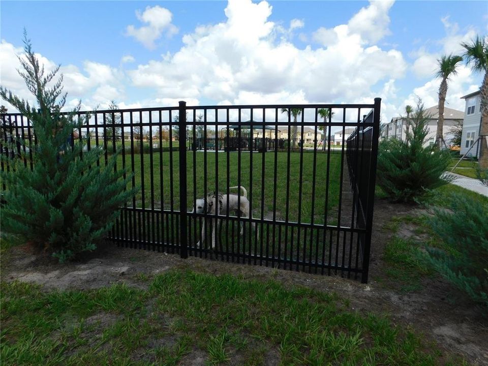 Secure dog park 5955 Chestnut