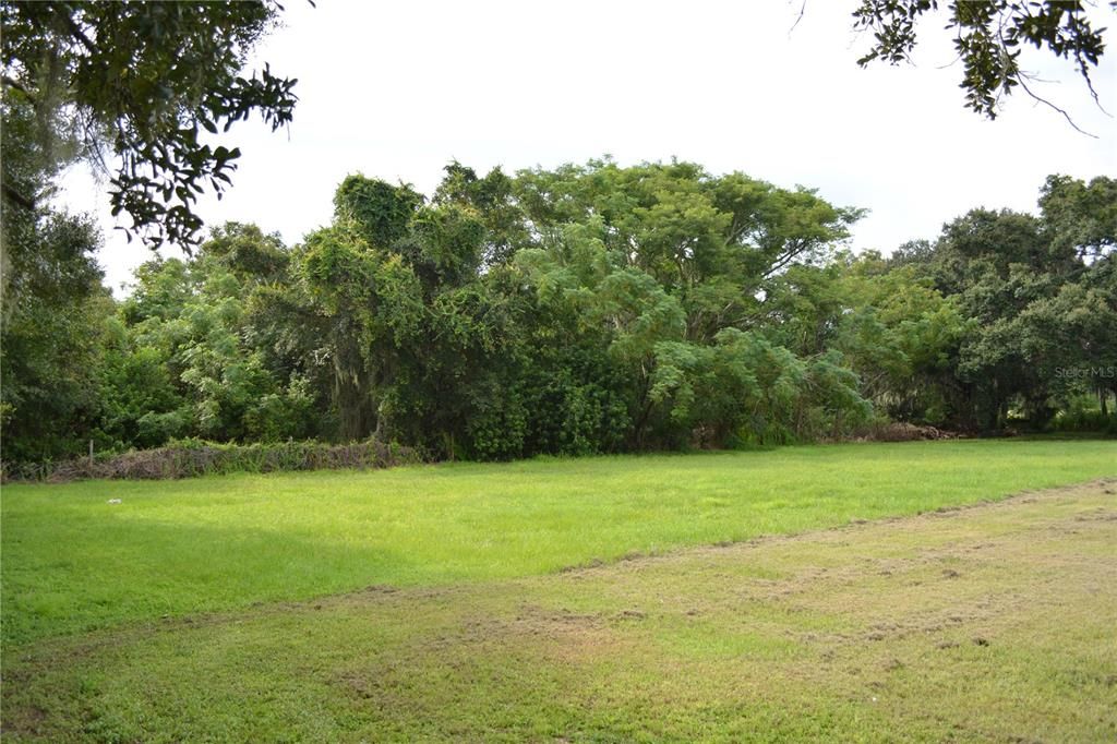 Mature trees along the perimeter