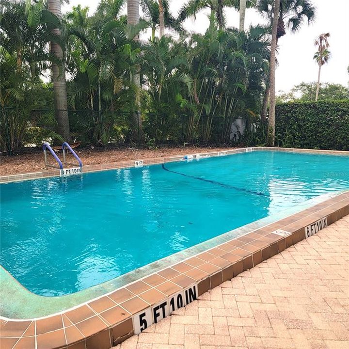 Existing Heated Pool