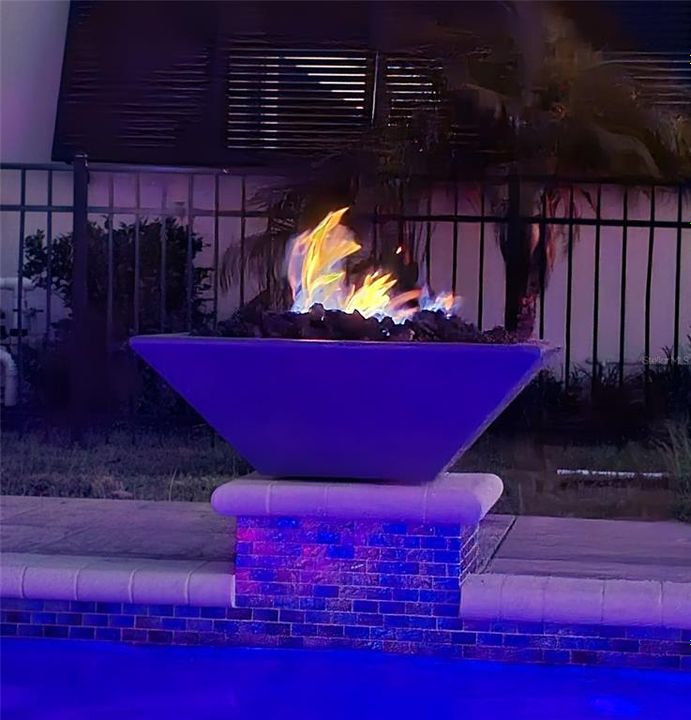 Pool / Fire Bowls