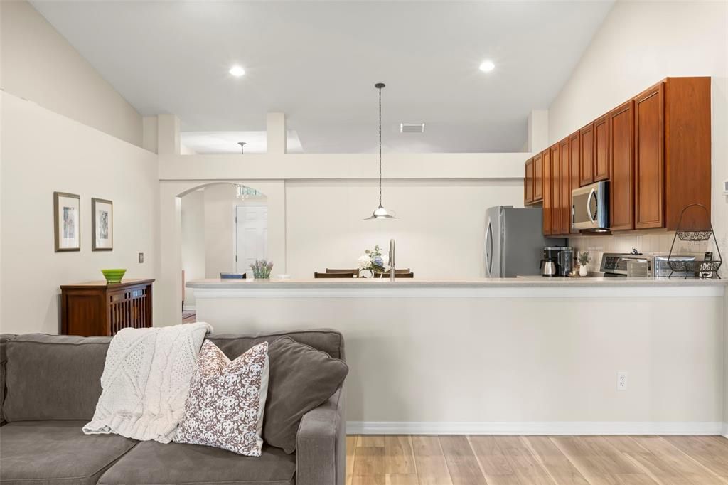 Living Room/Kitchen View