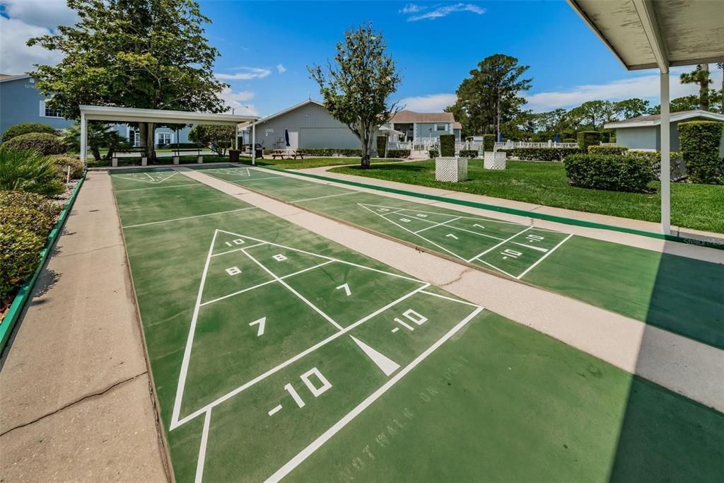 shuffleboard