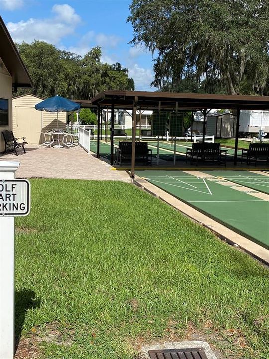 Shuffleboard