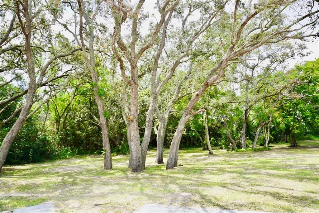 For Sale: $200,000 (1.21 acres)