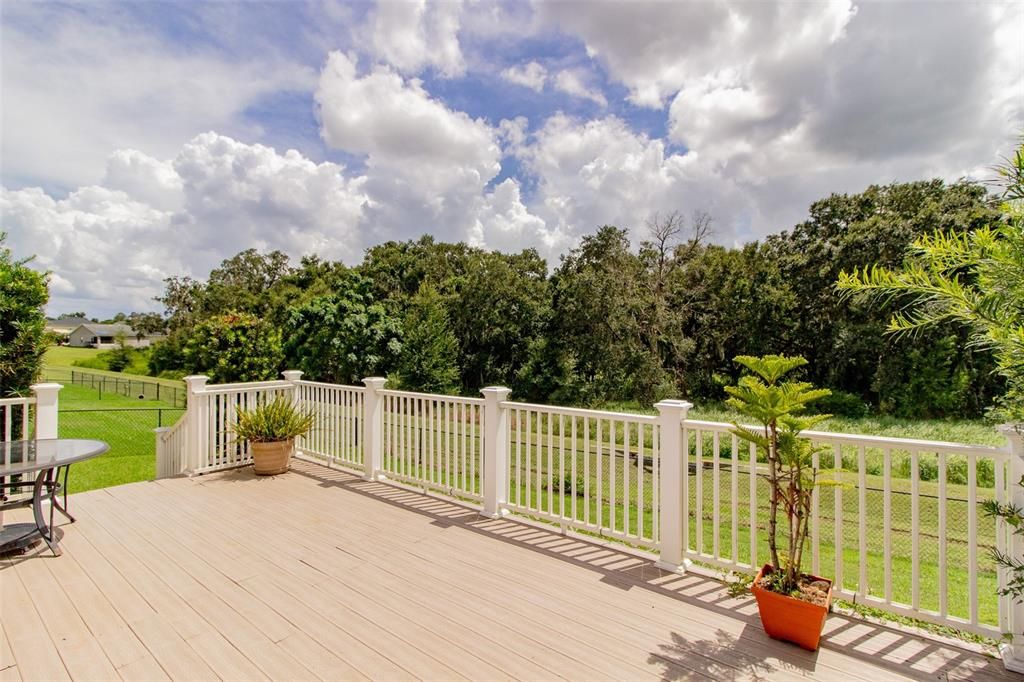 Deck - Conservation View