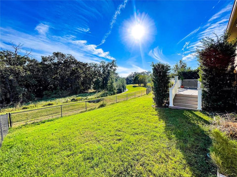 Fenced Backyard - Conservation View