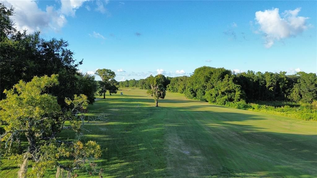 Golf Course View