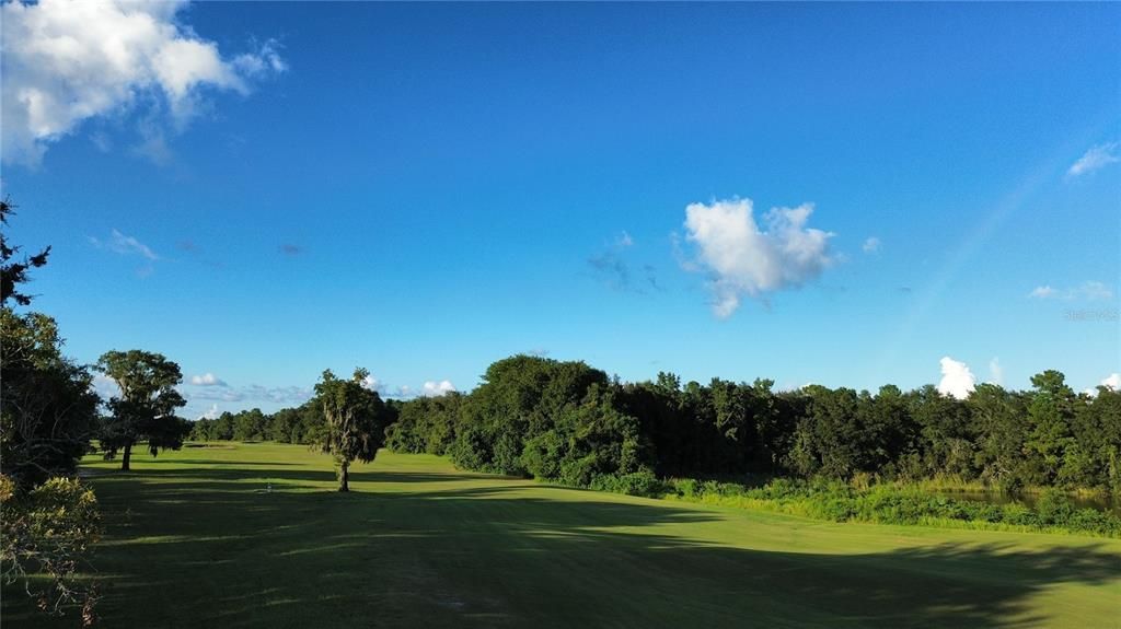 Golf Course View