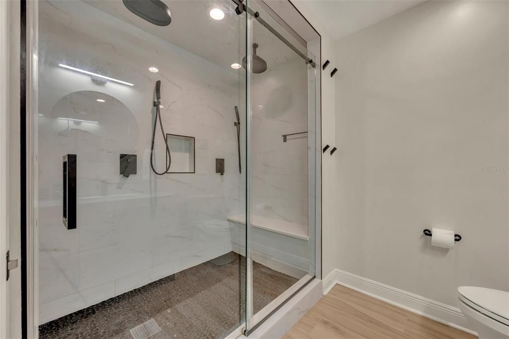 Amazing Walkin Shower with Dual Shower Heads