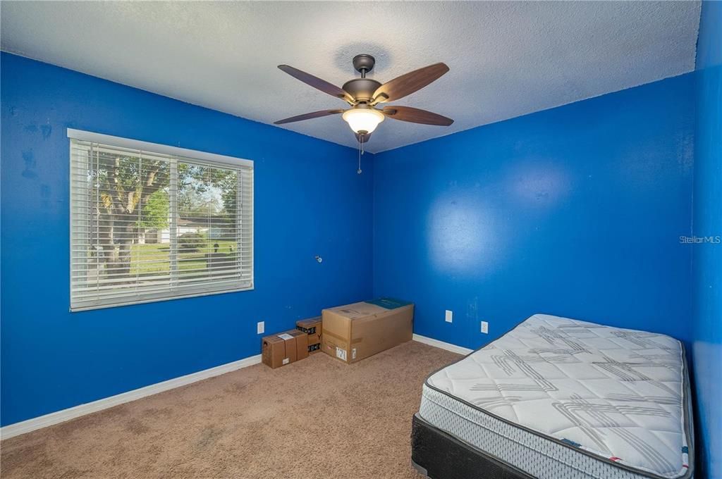 Third bedroom showing carpet, ceiling fan, and one window providing natural light.