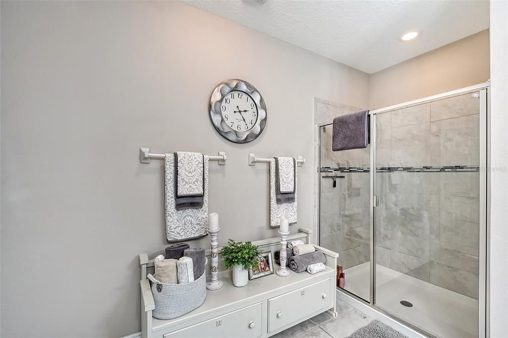 Master bathroom shower and storage area