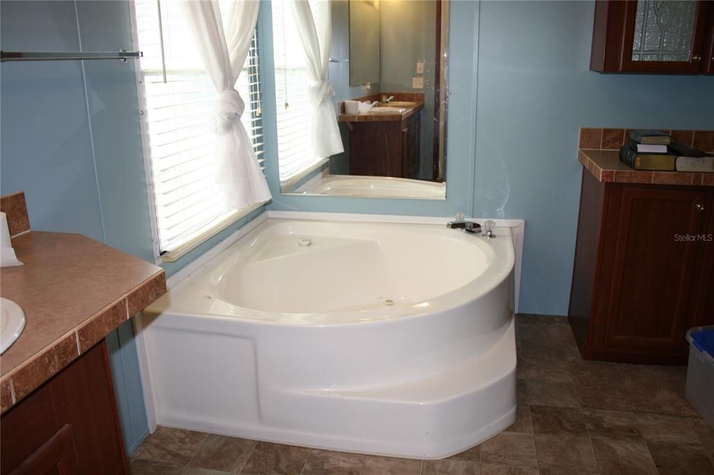 Primary Bathroom soaking tub