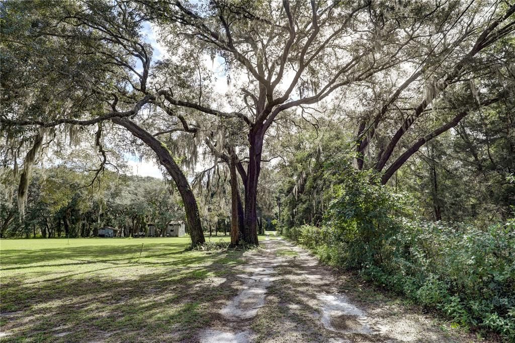 For Sale: $275,000 (3 beds, 2 baths, 1568 Square Feet)