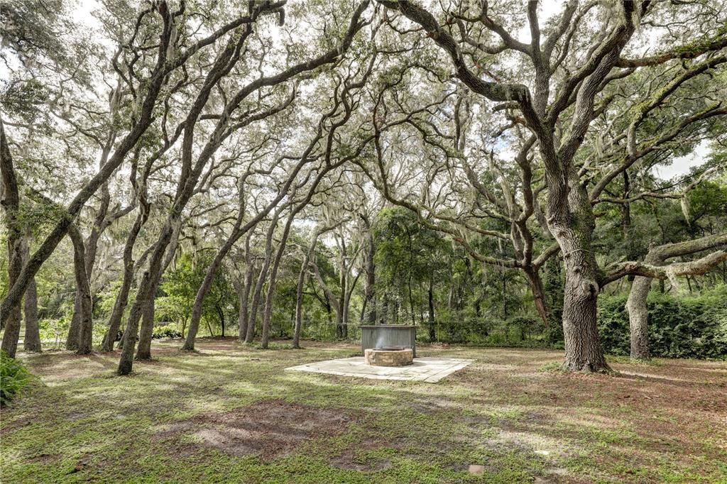 Stately Oaks