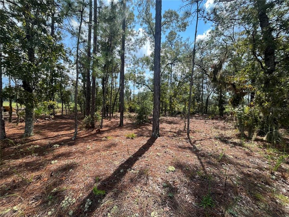 Active With Contract: $16,000 (0.23 acres)