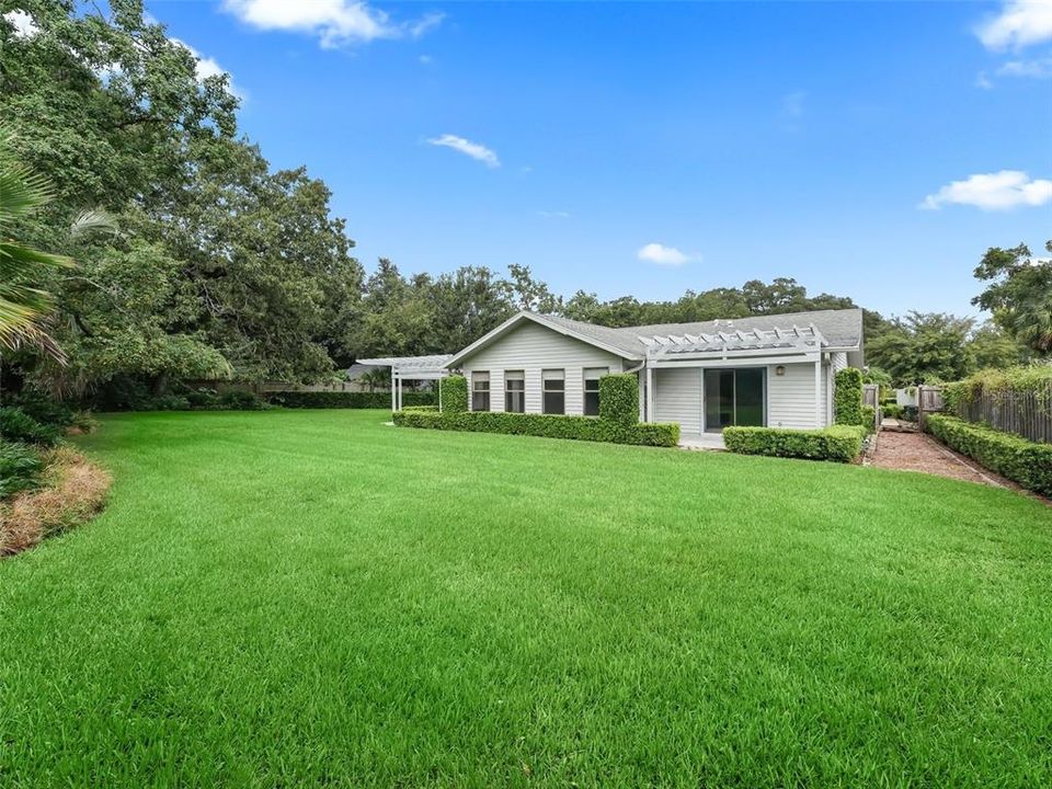 Spacious Backyard