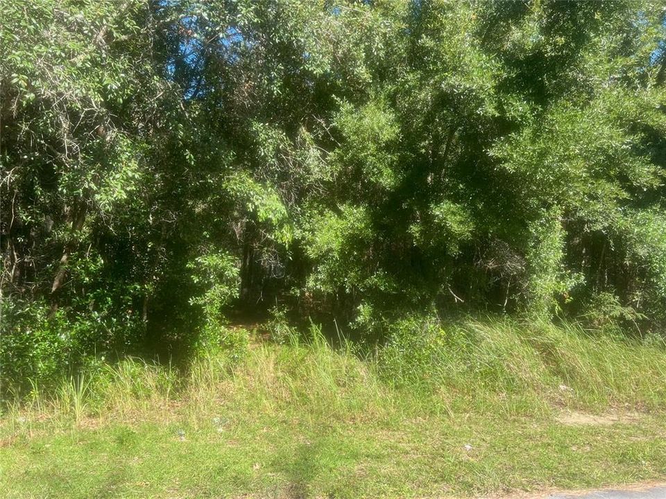 Active With Contract: $32,000 (0.23 acres)