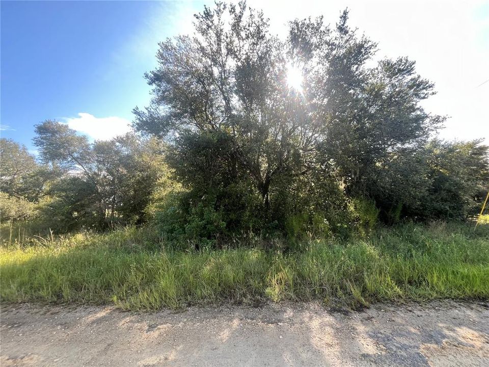 En Venta: $23,500 (0.50 acres)