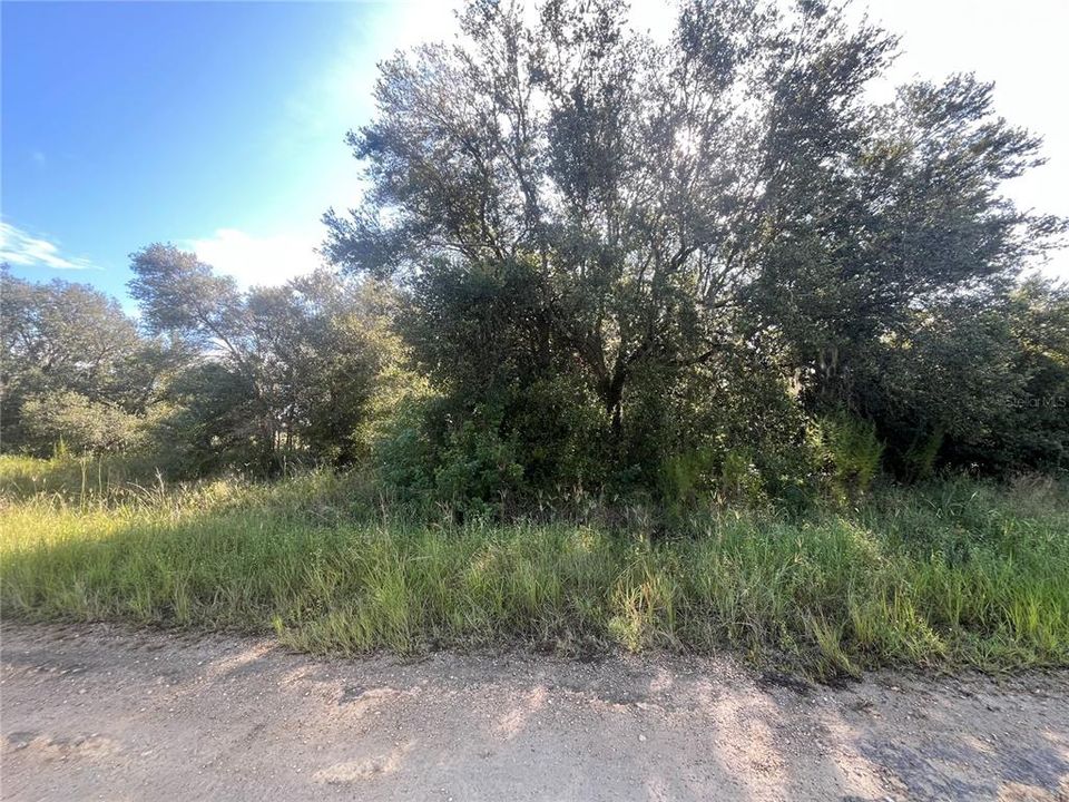 En Venta: $23,500 (0.50 acres)