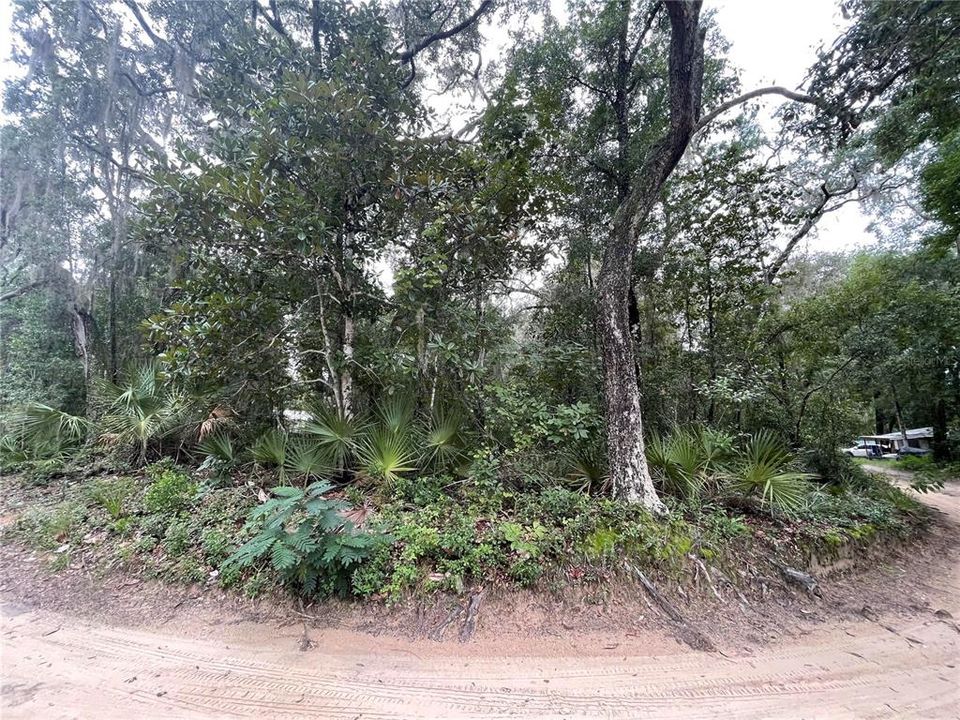 En Venta: $19,900 (0.23 acres)